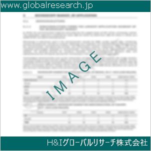 グローバルリサーチ調査資料のイメージ